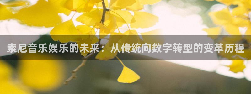 门徒娱乐官方平台入口