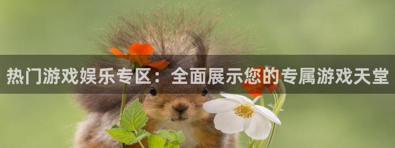 门徒娱乐app官方版下载