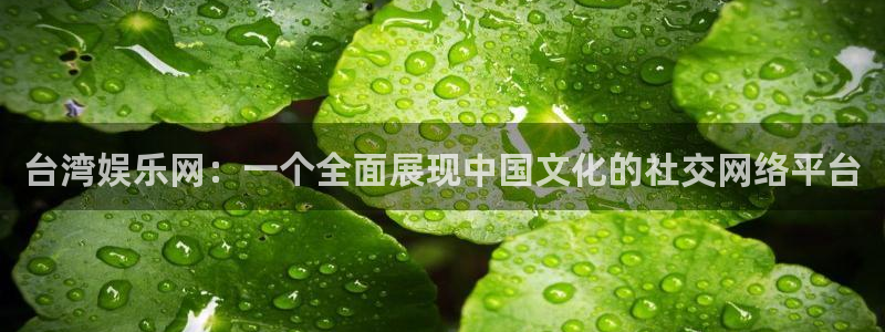 门徒平台注册
