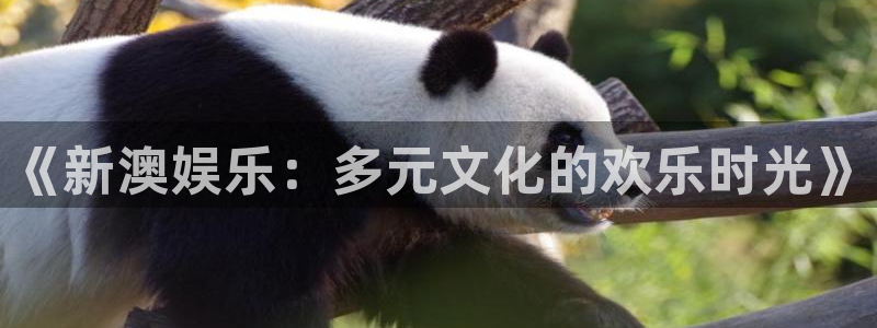 门徒娱乐