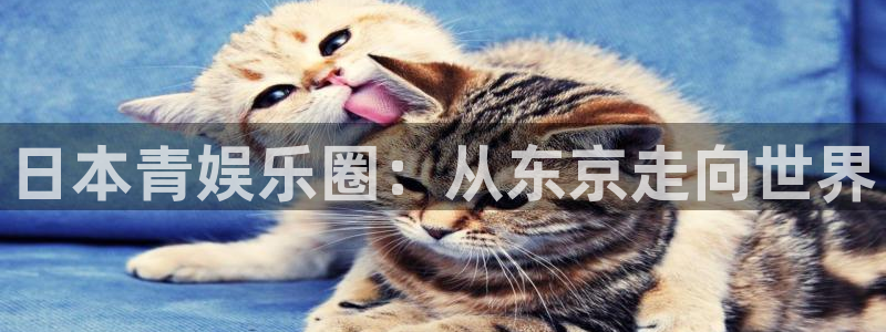 门徒娱乐登陆官网