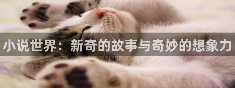 门徒娱乐彩票最新官网