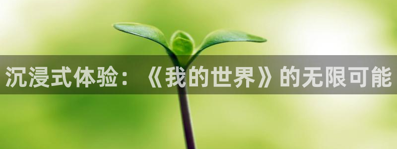 门徒平台登录地址