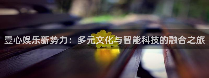 门徒平台注册中心
