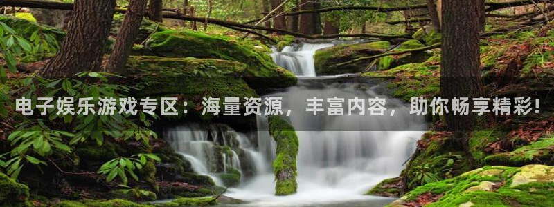门徒平台注册